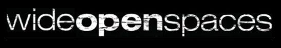 Cinch logo